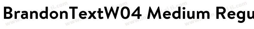 BrandonTextW04 Medium Regular字体转换